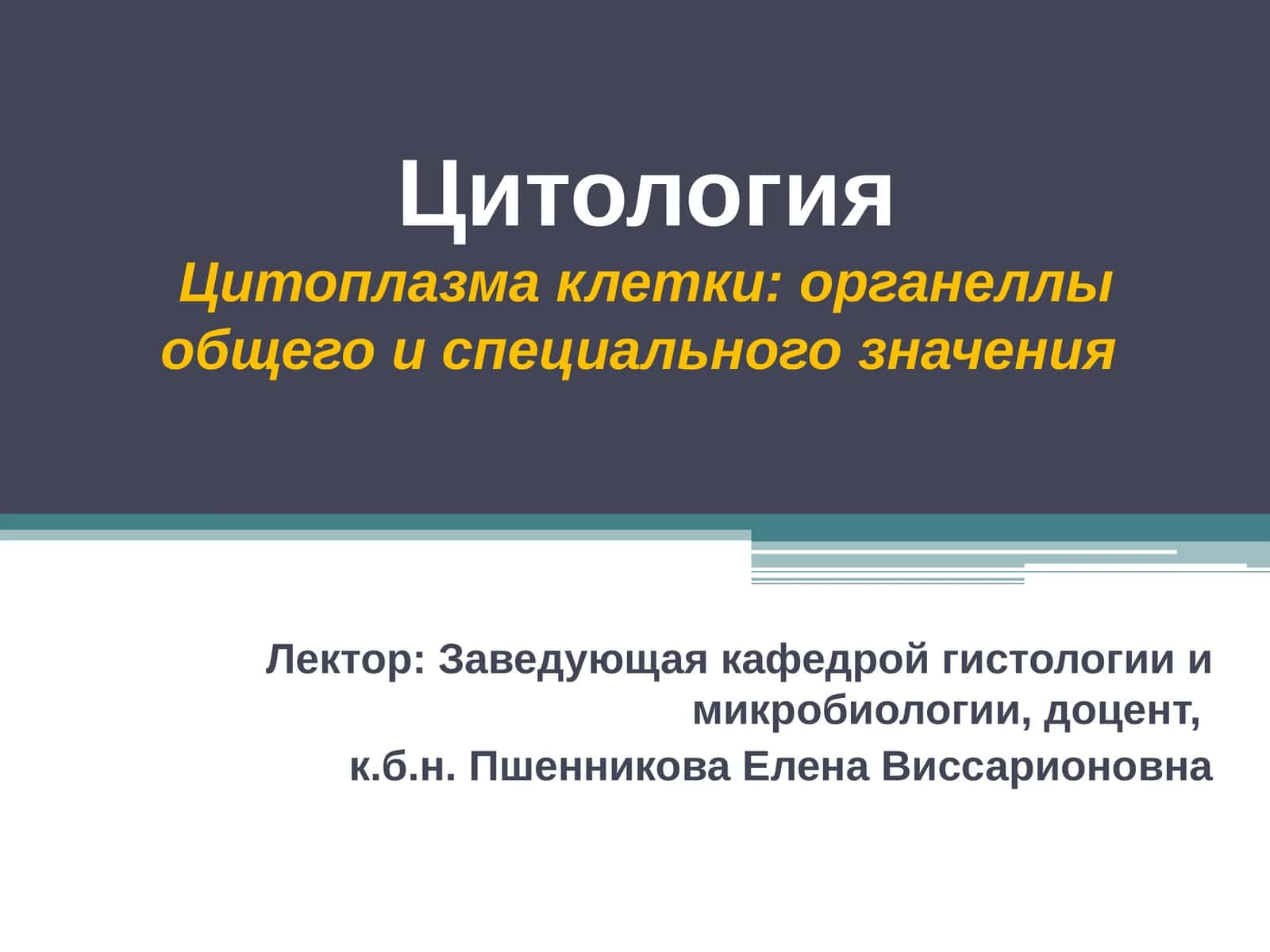 Цитоплазма клетки: органеллы общего и специального значения