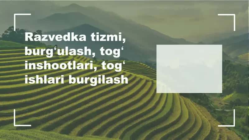 Razvedka tizimi