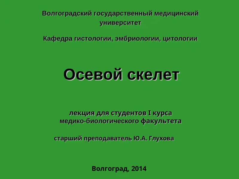 Осевой скелет