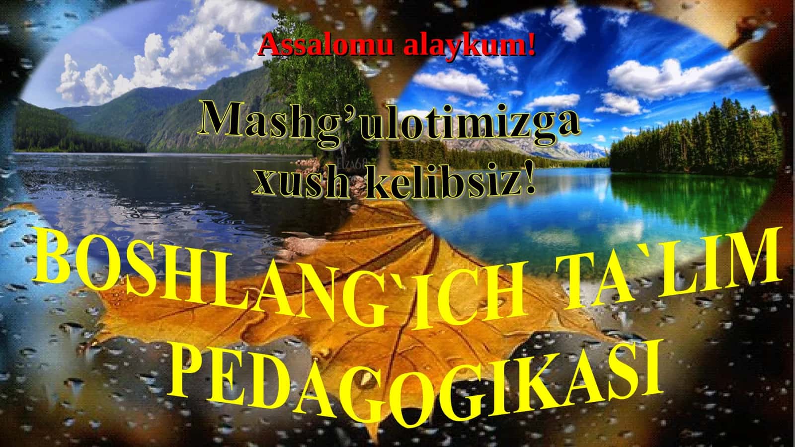 SHARQ UYG‘ONISH DAVRIDA BOSHLANG‘ICH TA’LIMGA OID PEDAGOGIK FIKRLARNING RIVOJLANISHI