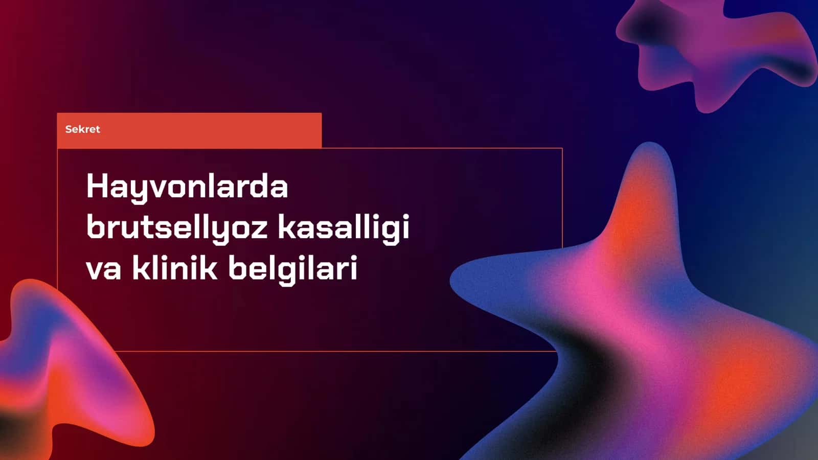 Hayvonlarda brutsellyoz kasalligi va klinik belgilari