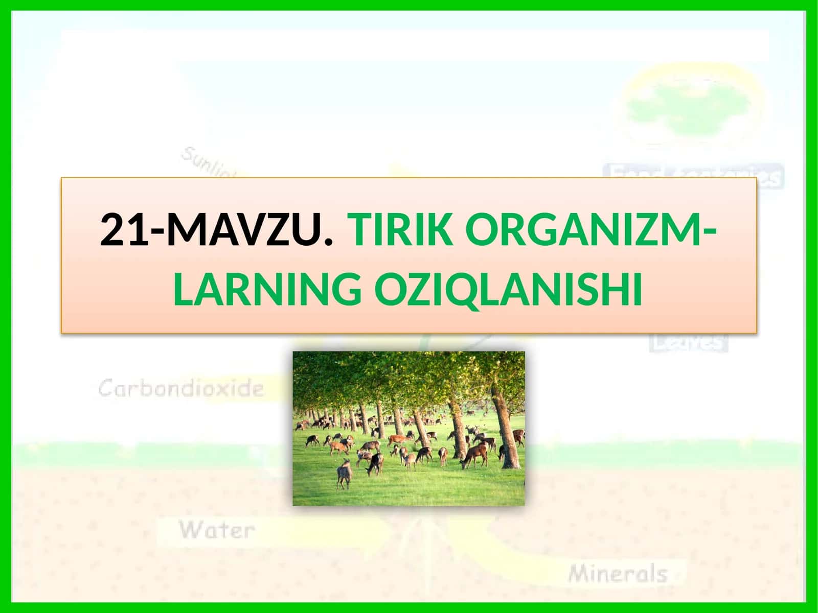 TIRIK ORGANIZM-LARNING OZIQLANISHI