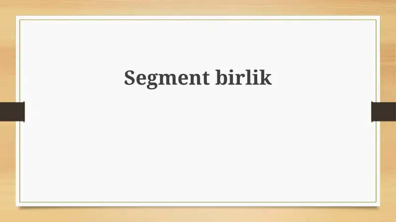 Segment birliklar