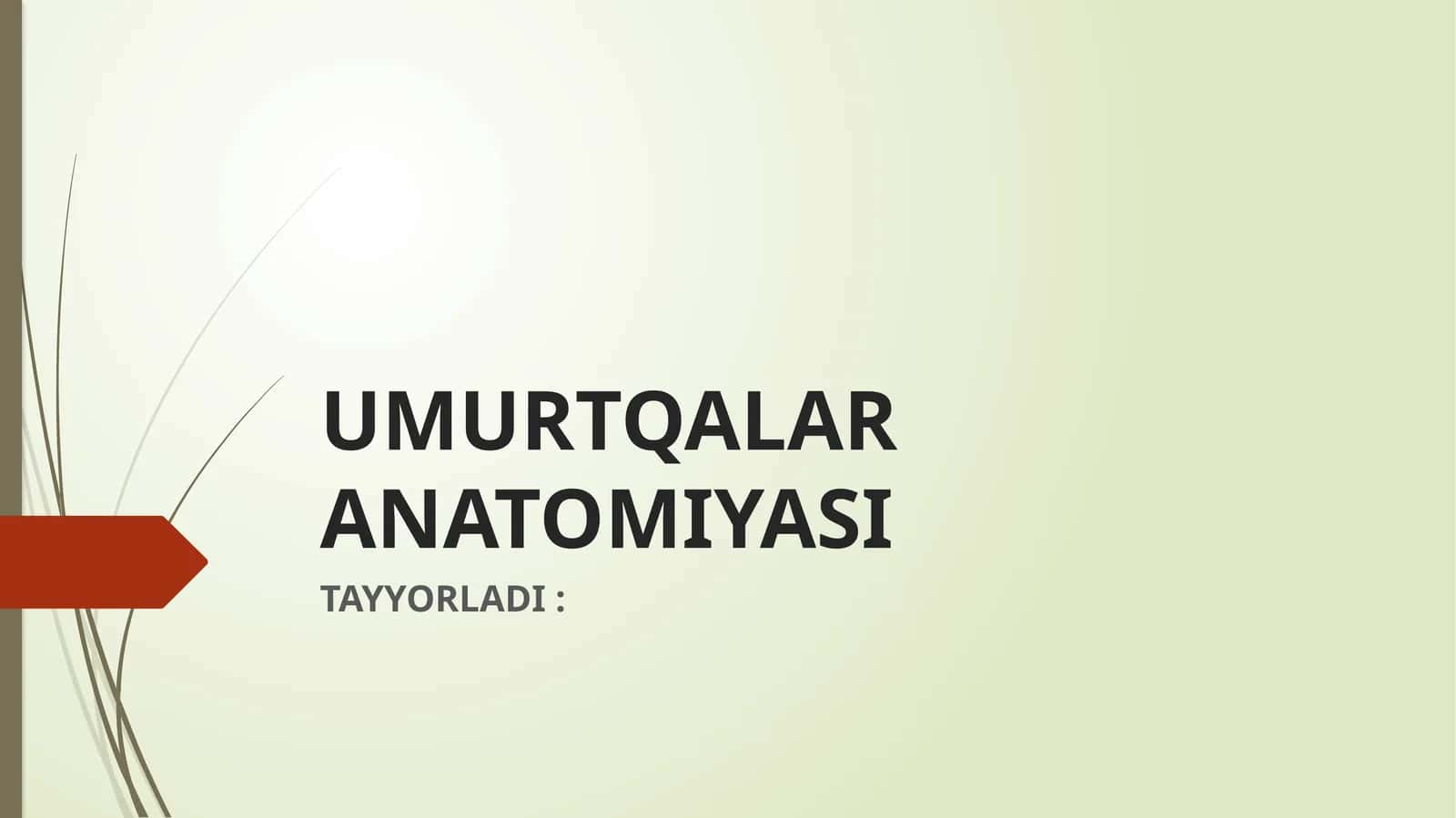 UMURTQALAR ANATOMIYASI