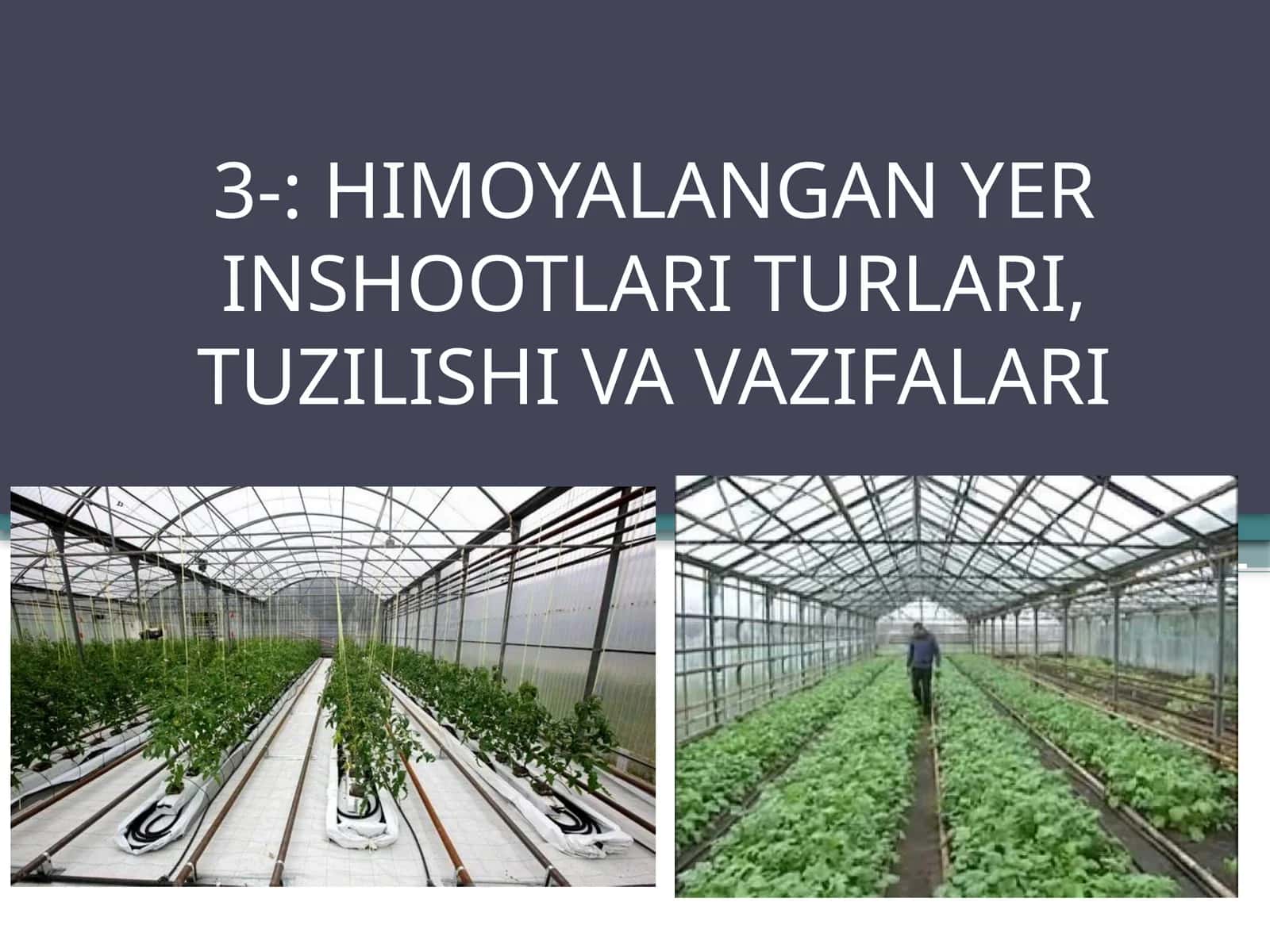 HIMOYALANGAN YER INSHOOTLARI TURLARI, TUZILISHI VA VAZIFALARI