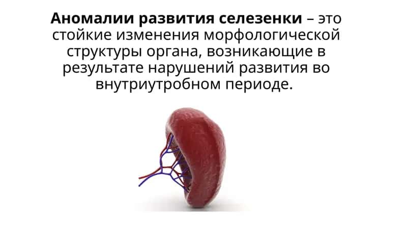 Taloq tug'ma nuqsonlari