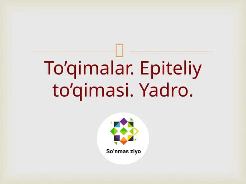 To’qimalar.Epiteliyto’qimasi.Yadro