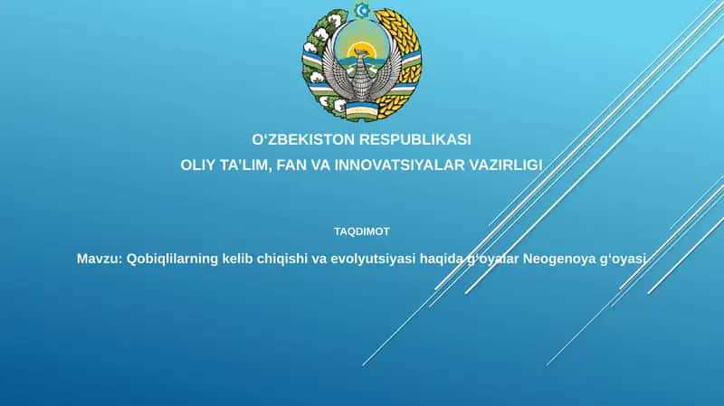 Qobiqlilarning kelib chiqishi va evolyutsiyasi haqidagi o'ylar