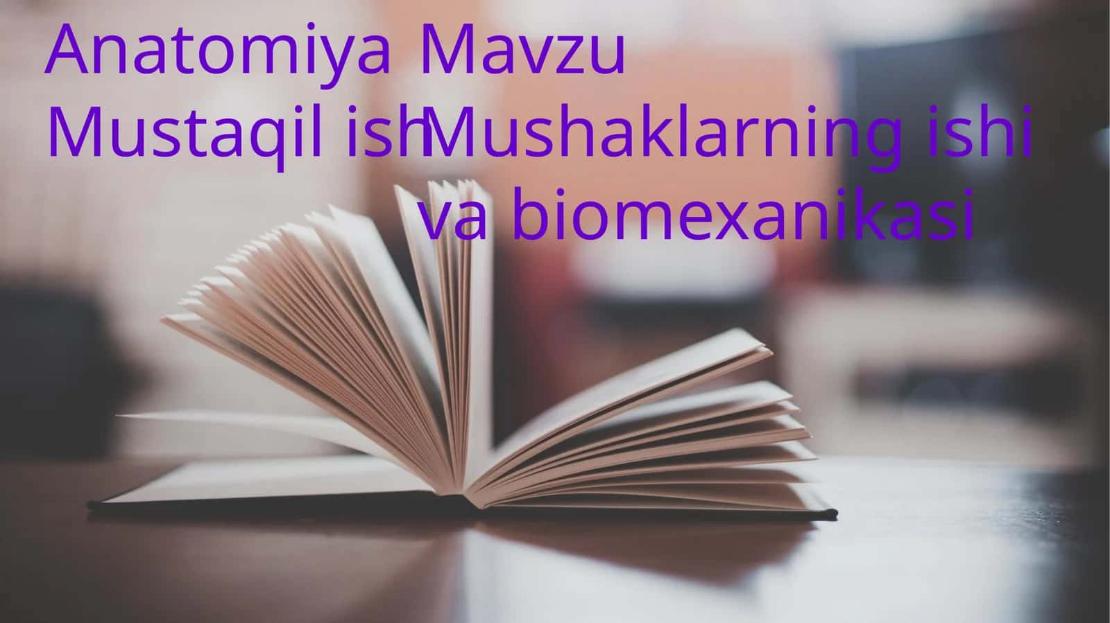 Mushaklar haqida maʼlumot