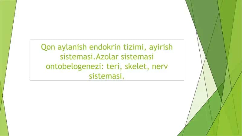 Qon Aylanish Sistemasi