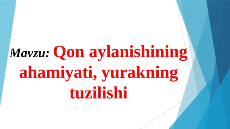 Qonaylanishning ahamiyati, yurakning tuzilishi