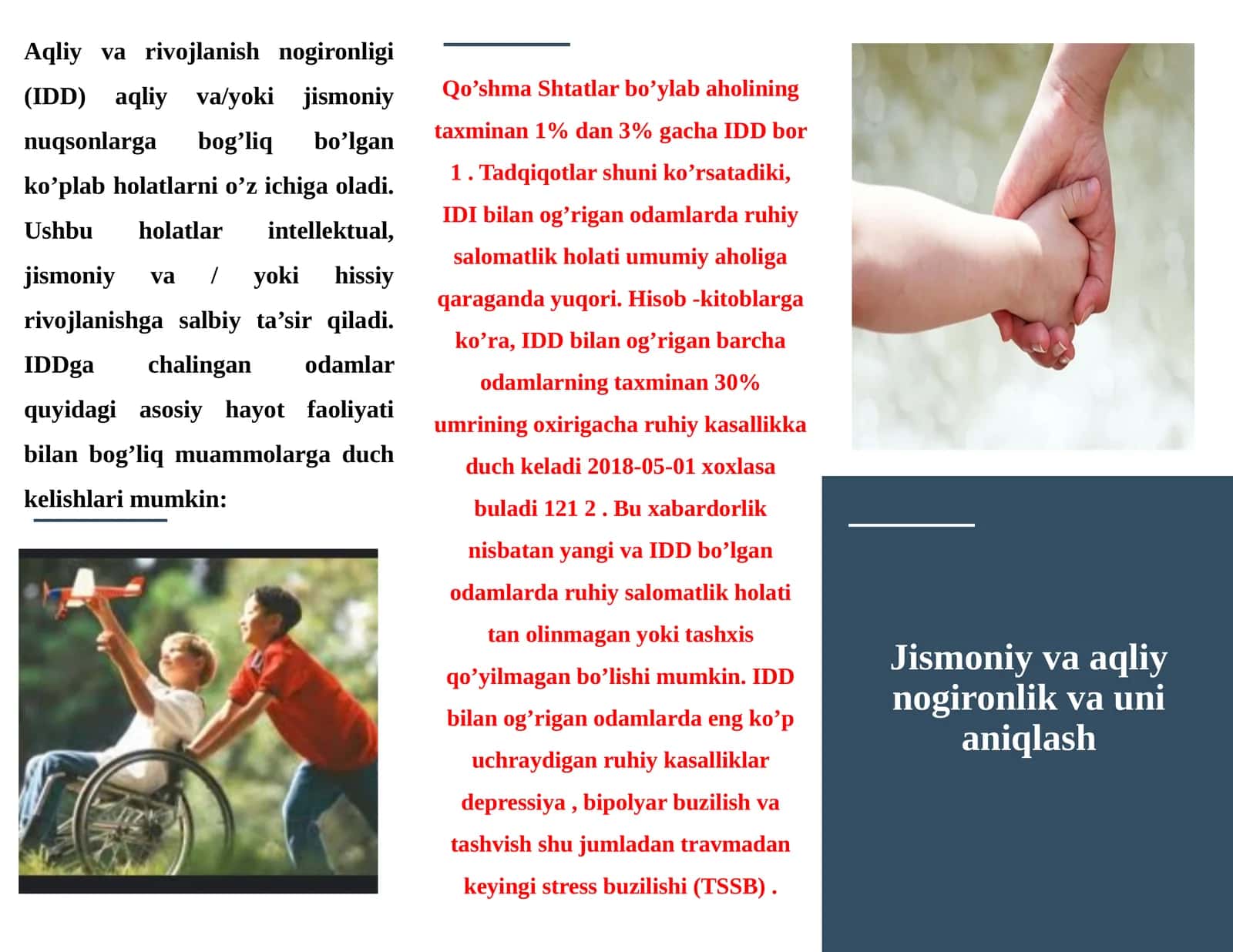 Aqliy va Rivojlanish Nogironligi (IDD)