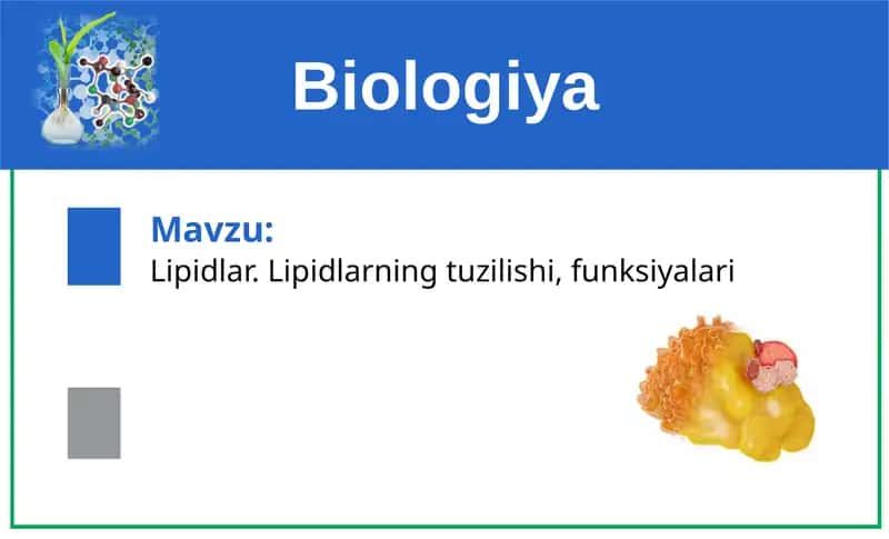 Lipidlar