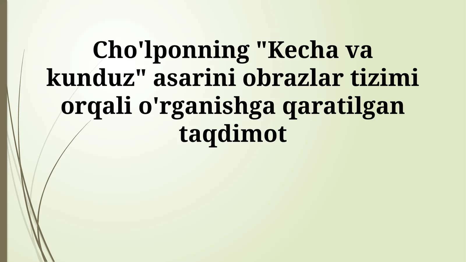 Cho'lponning "Kecha va kunduz" asarini obrazlar tizimi orqali o'rganishga qaratilgan taqdimot