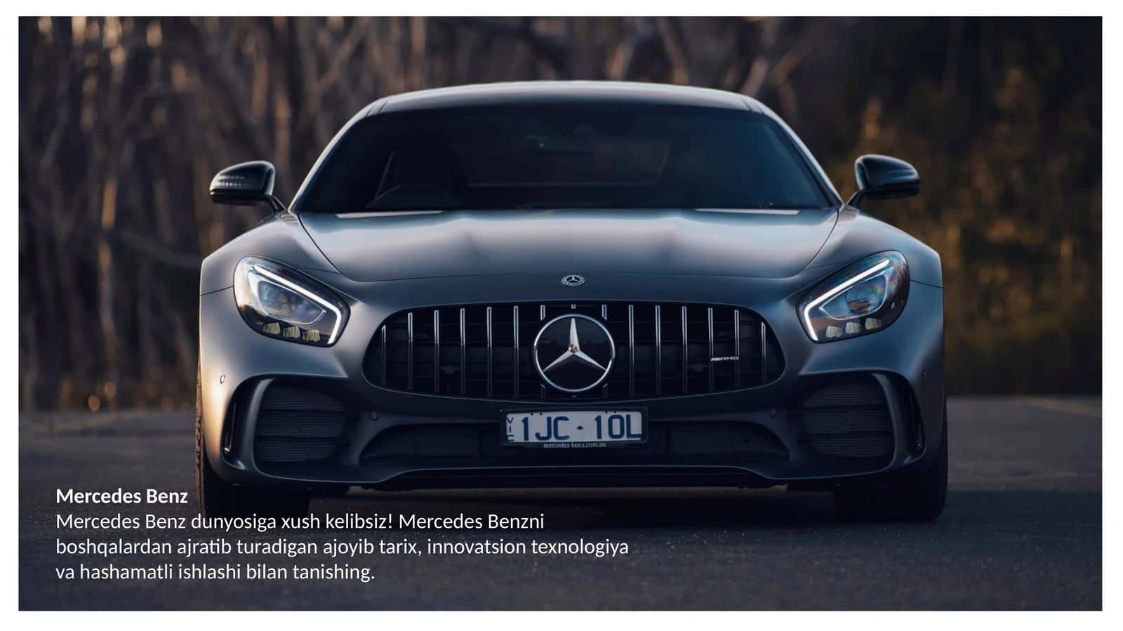 Mersedes Benz