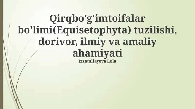 Equisetophyta