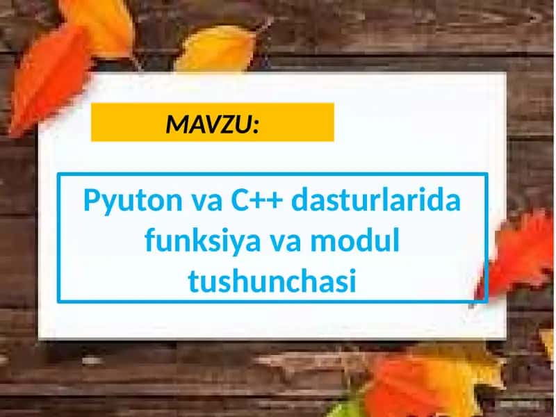 Pyuton va C++ dasturlarida funksiya va modul tushunchasi