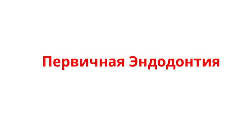 Первичная Эндодонтия