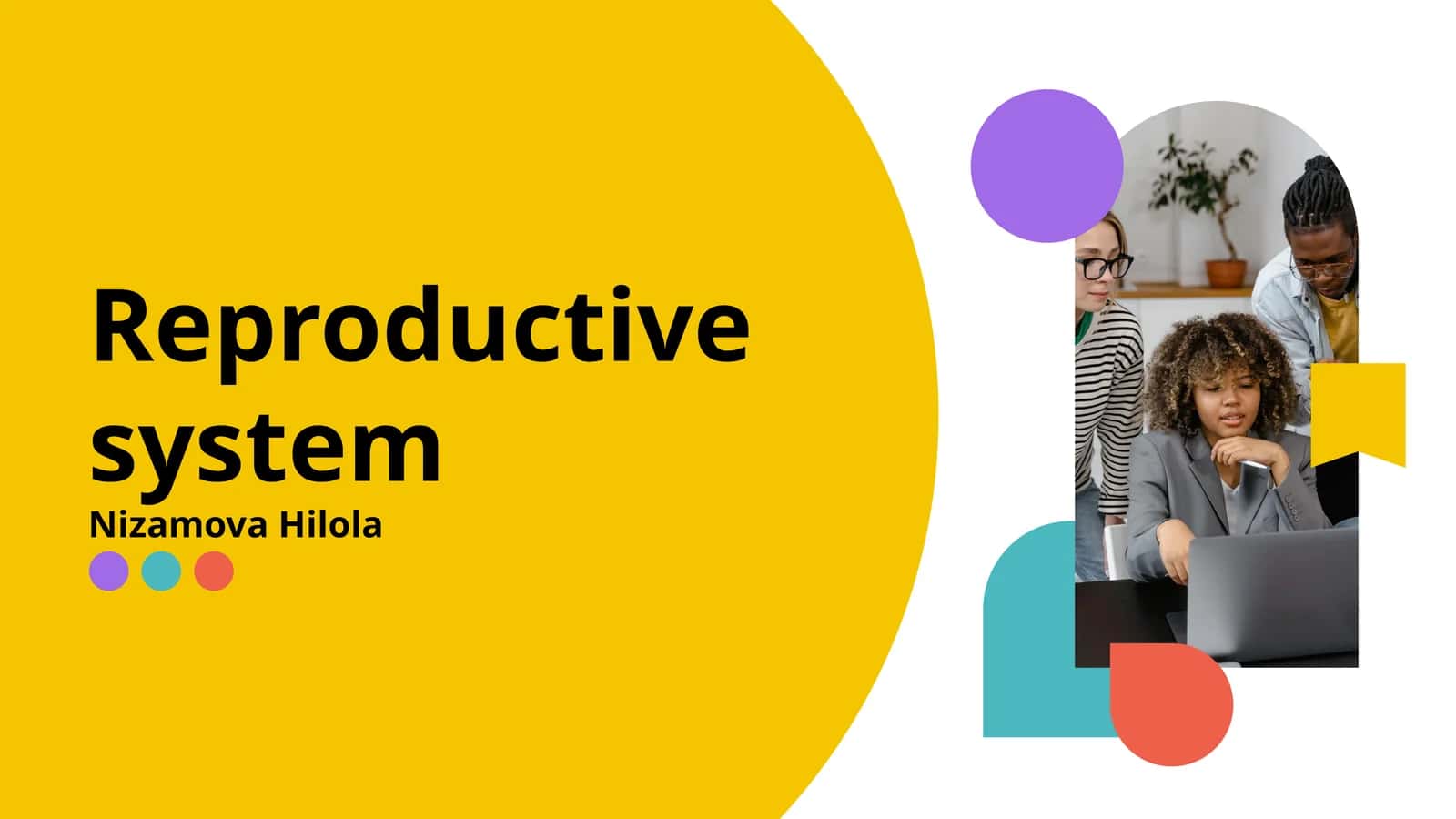 Reproductive system