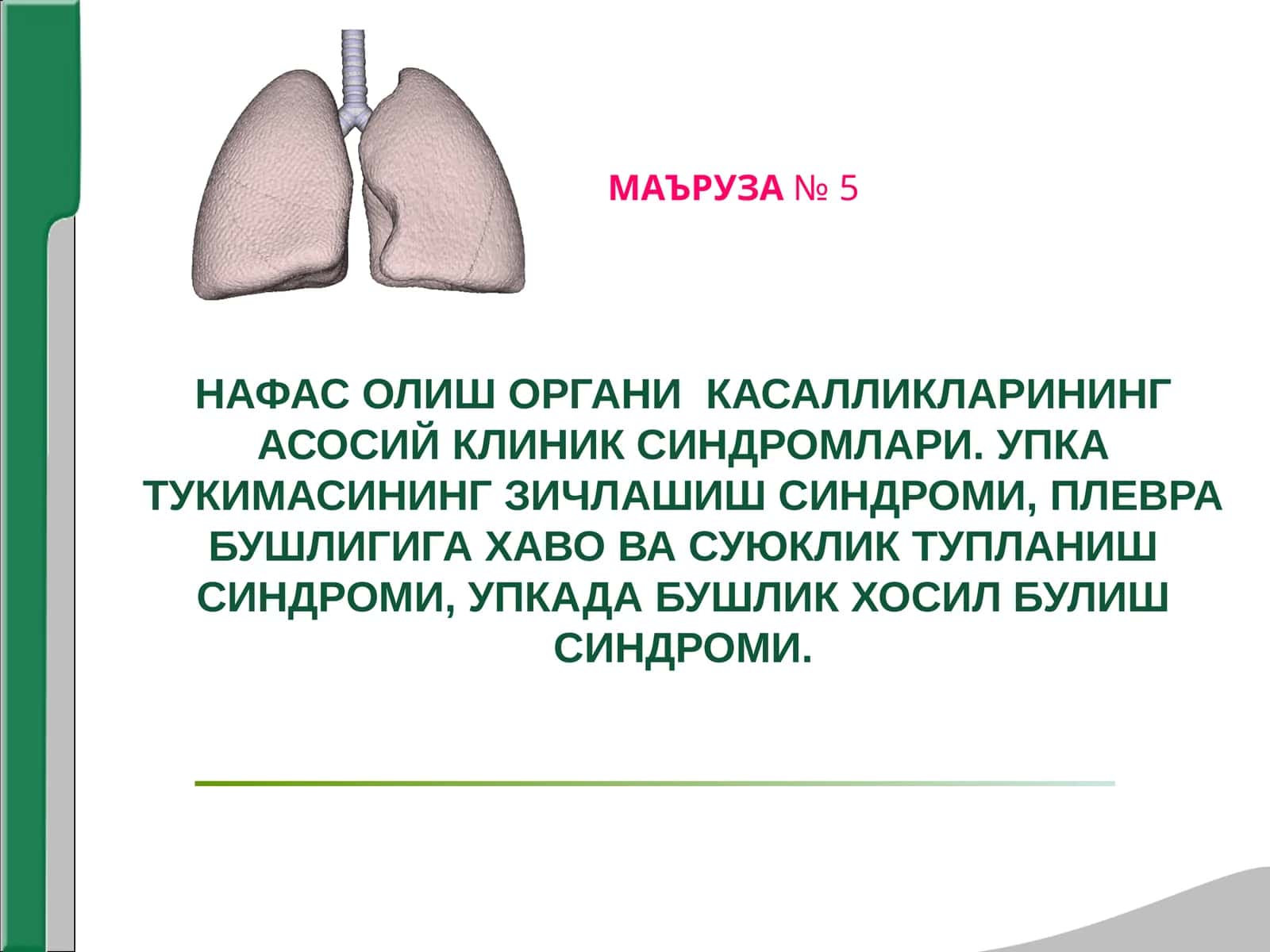 НАФАС ОЛИШ ОРГАНИ  КАСАЛЛИКЛАРИНИНГ АСОСИЙ КЛИНИК СИНДРОМЛАРИ. УПКА ТУКИМАСИНИНГ ЗИЧЛАШИШ СИНДРОМИ, ПЛЕВРА БУШЛИГИГА ХАВО ВА СУЮКЛИК ТУПЛАНИШ СИНДРОМИ, УПКАДА БУШЛИК ХОСИЛ БУЛИШ СИНДРОМИ