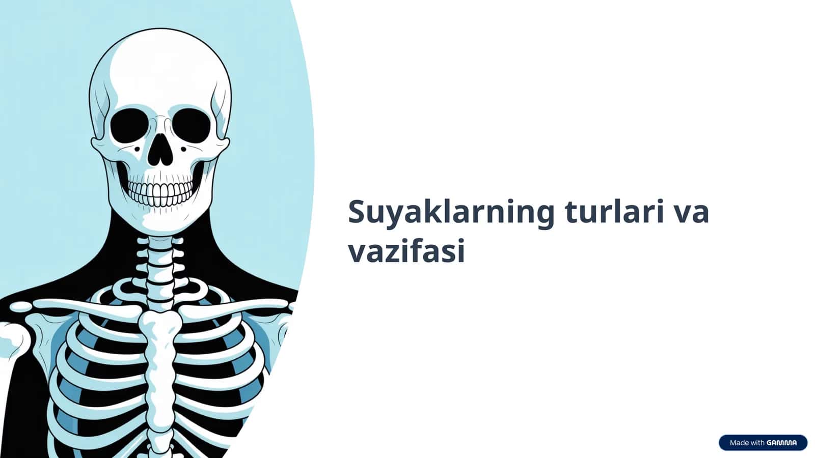 Suyaklarning turlari va vazifasi