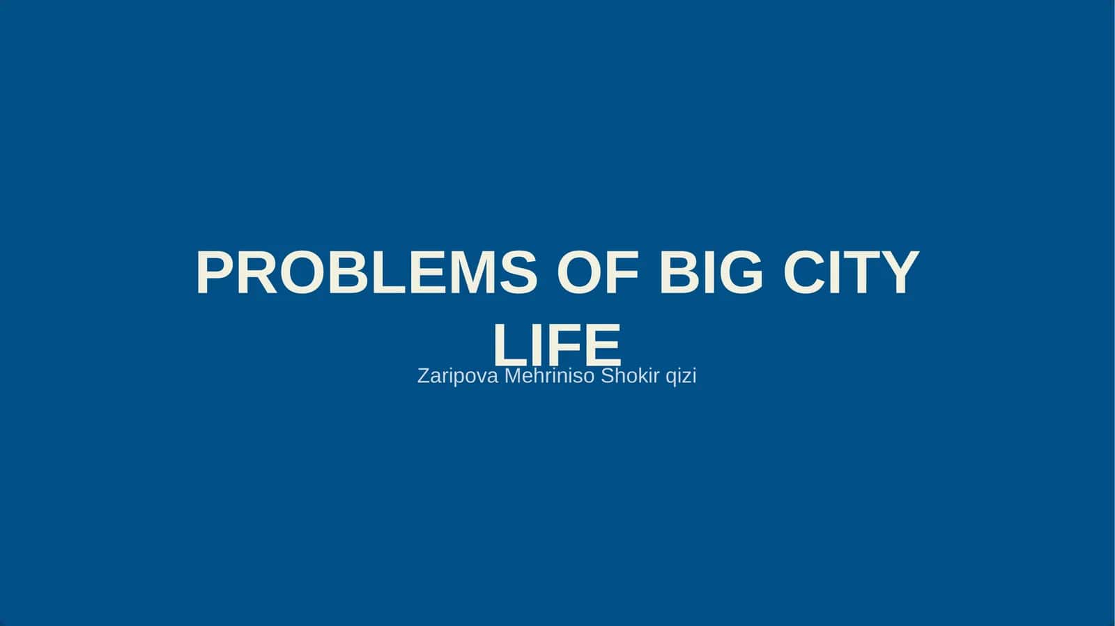 PROBLEMS OF BIG CITY LIFE