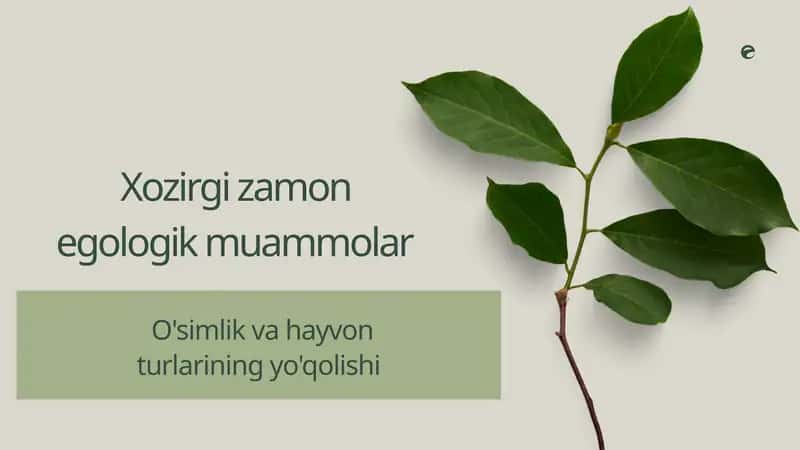 Egologik muammolar,O'simlik va hayvon turlarining yo'qolishi