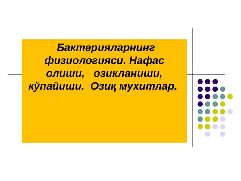 Бактерияларнинг физиологияси. Нафас олиши,   озикланиши, кўпайиши.  Озиқ мухитлар