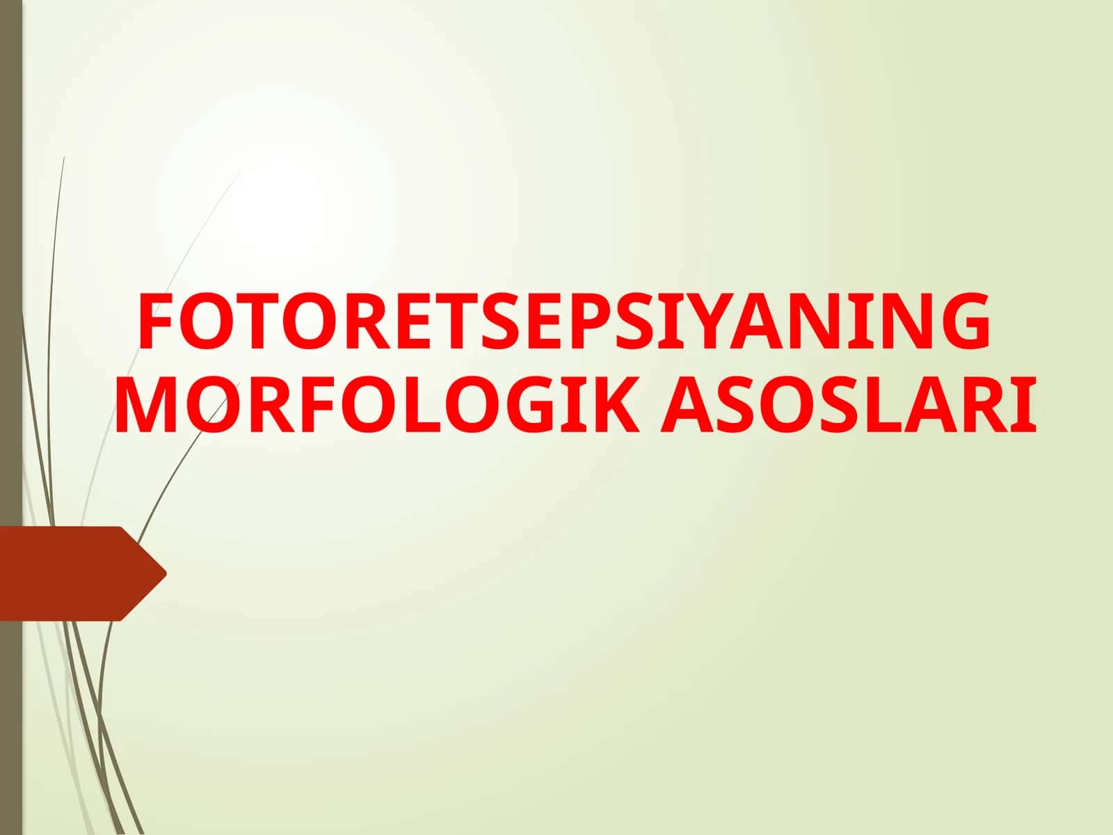Fotoretsipsiyaning morfologik asoslari