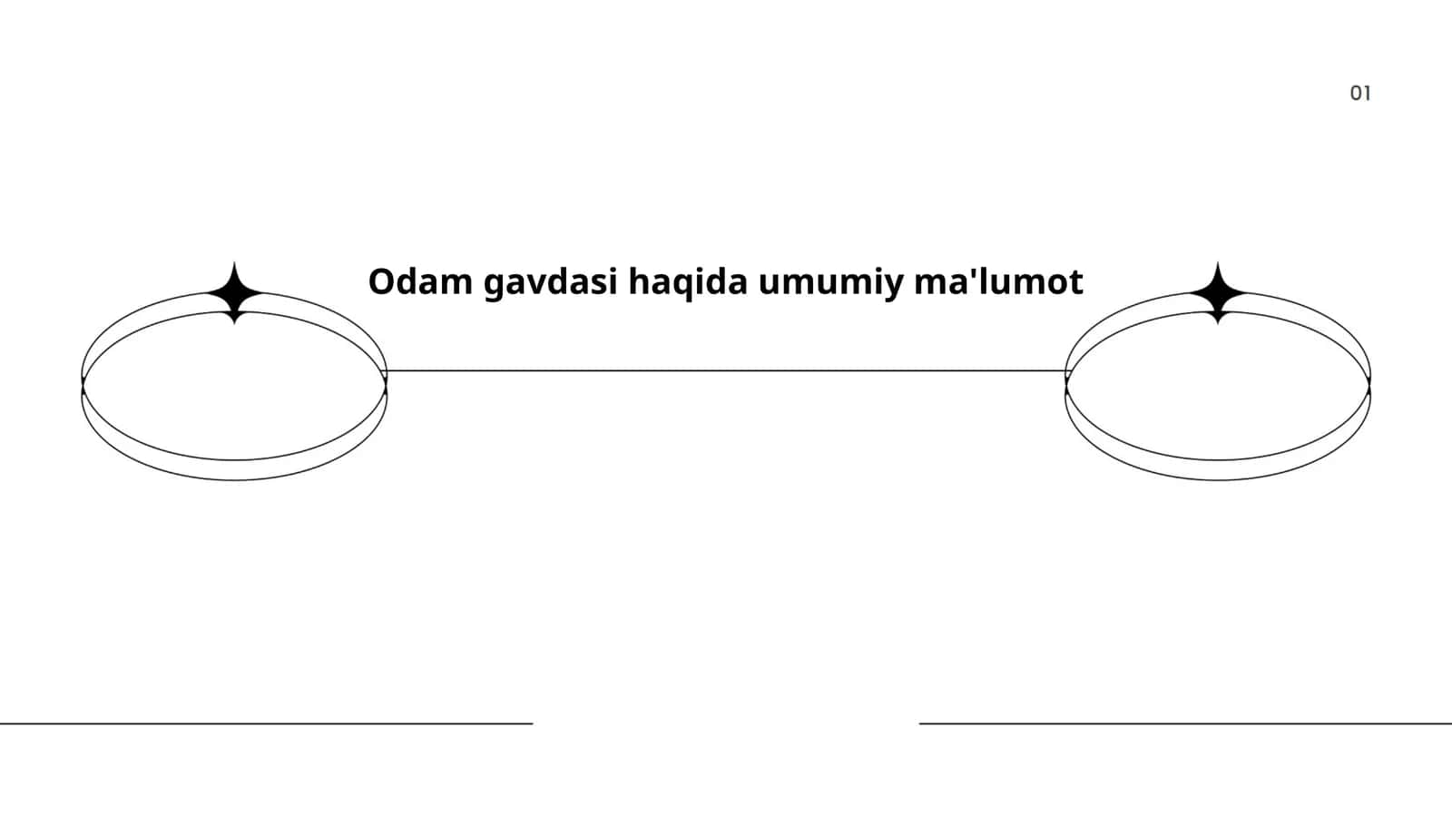 Odam gavdasi haqida umumiy ma'lumot