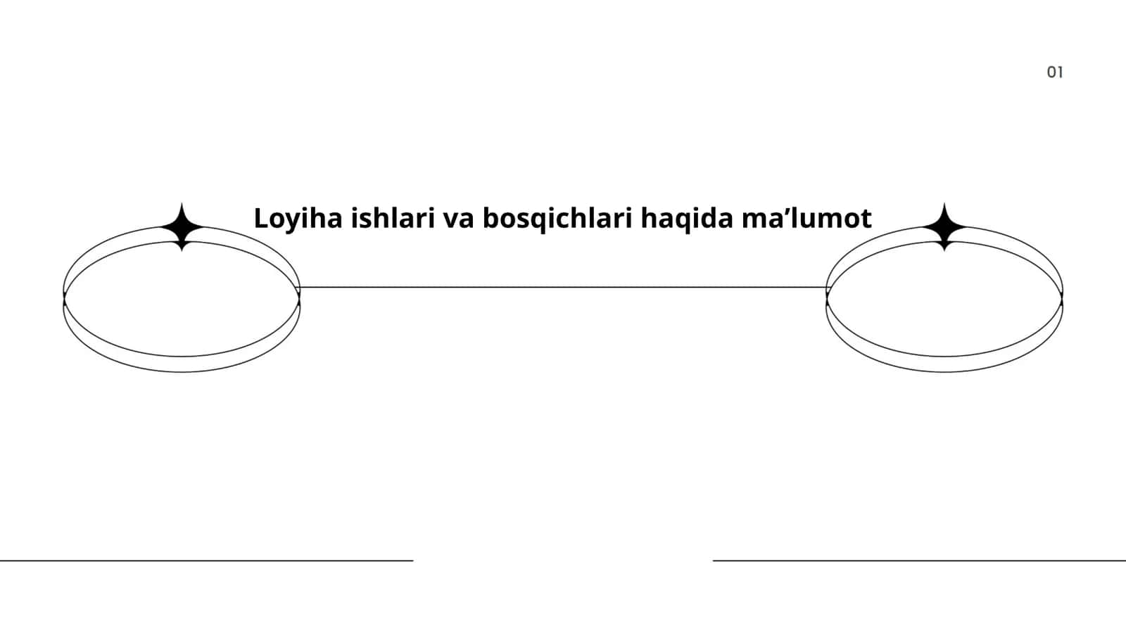 Loyiha ishlari va bosqichlari haqida maʼlumot