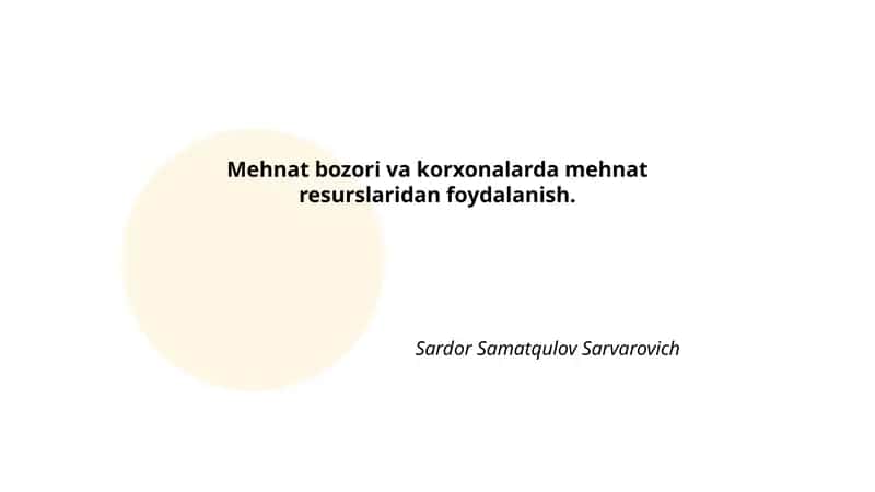 Mehnat bozori va korxonalarda mehnat resurslaridan foydalanish