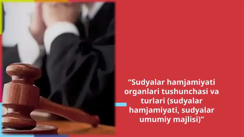 Sudyalar hamjamiyati organlari tushunchasi va turatlari