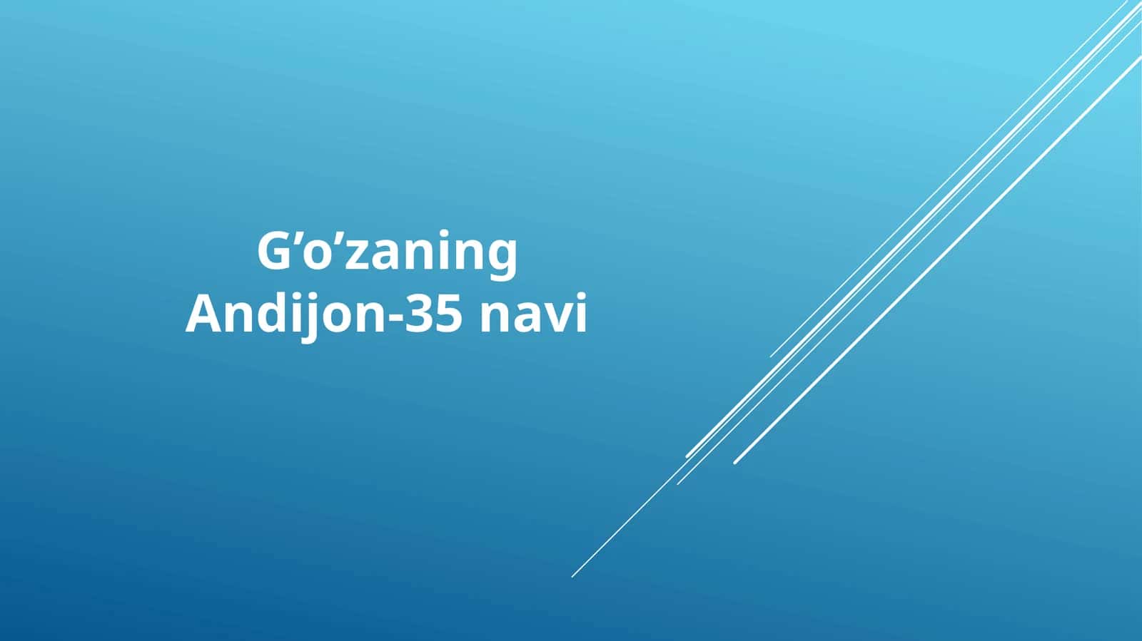 G’o’zaning Andijon-35 navi