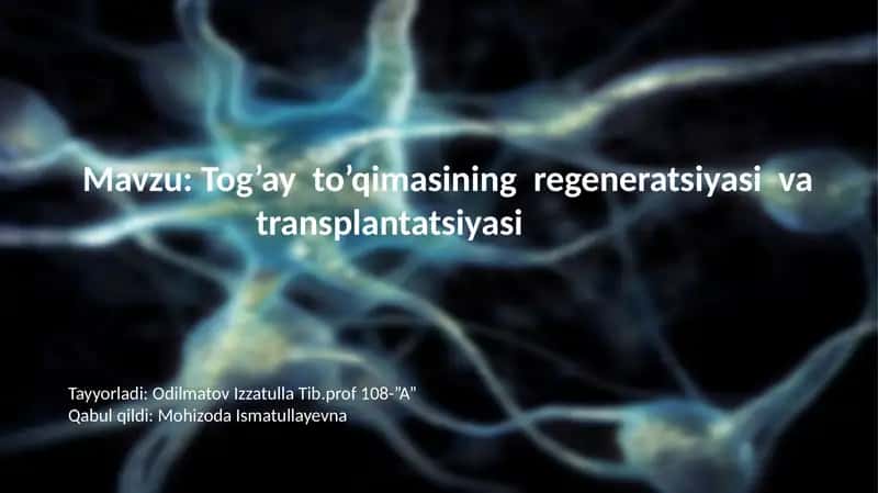 Tog’ayto’qimasining regeneratsiyasi va transplantatsiyasi
