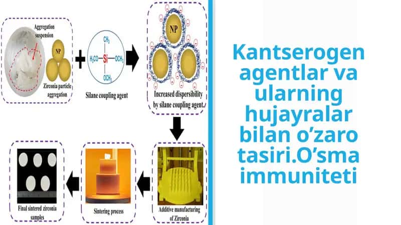 Kantserogen agentlar va ularning hujayralar bilan o’zaro tasiri