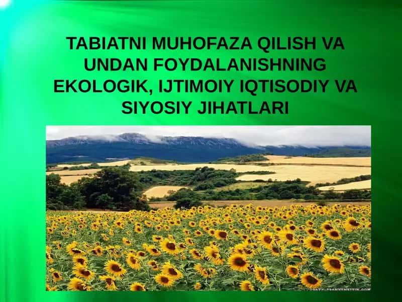 TABIATNI MUHOFAZA QILISH VA UNDAN FOYDALANISHNING EKOLOGIK, IJTIMOIY IQTISODIY VA SIYOSIY JIHATLARI