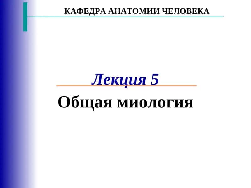 Общая миология