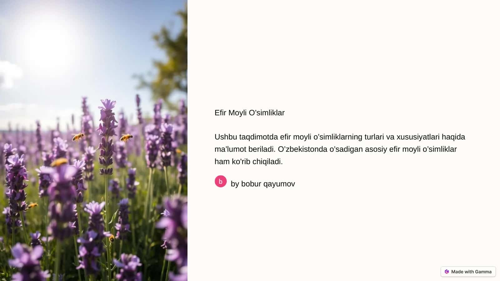 Efir Moyli O’simliklar