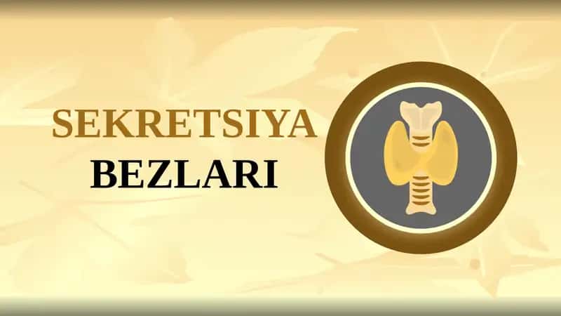 SEKRETSIYABEZLARI
