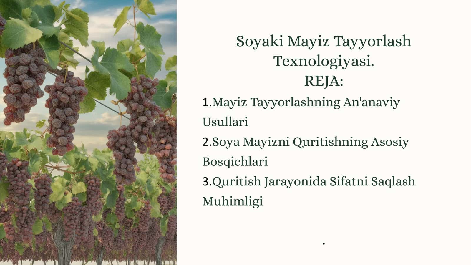 Soyaki Mayiz Tayyorlash Texnologiyasi