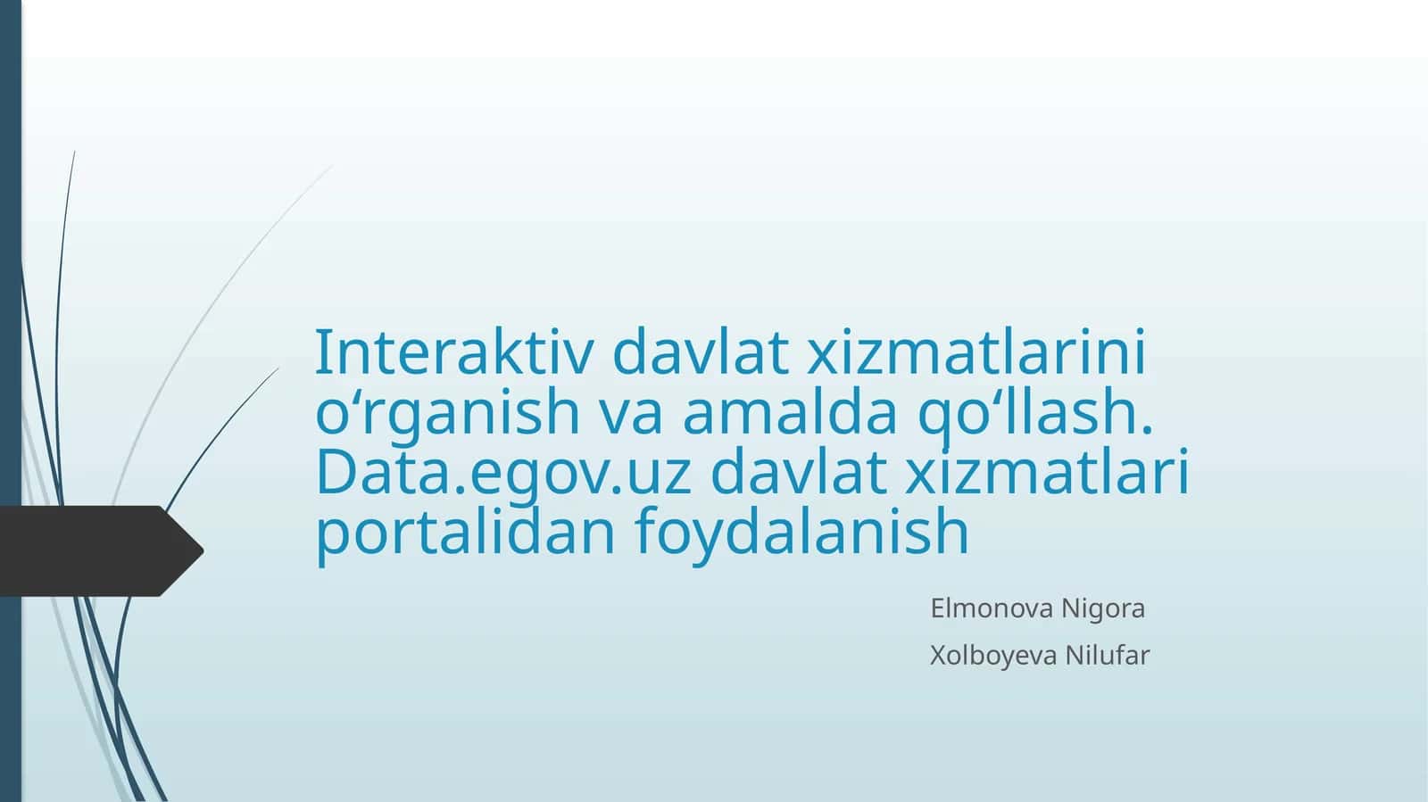 Interaktiv davlat xizmatlarini o‘rganish va amalda qo‘llash. Data.egov.uz davlat xizmatlari portalidan foydalanish