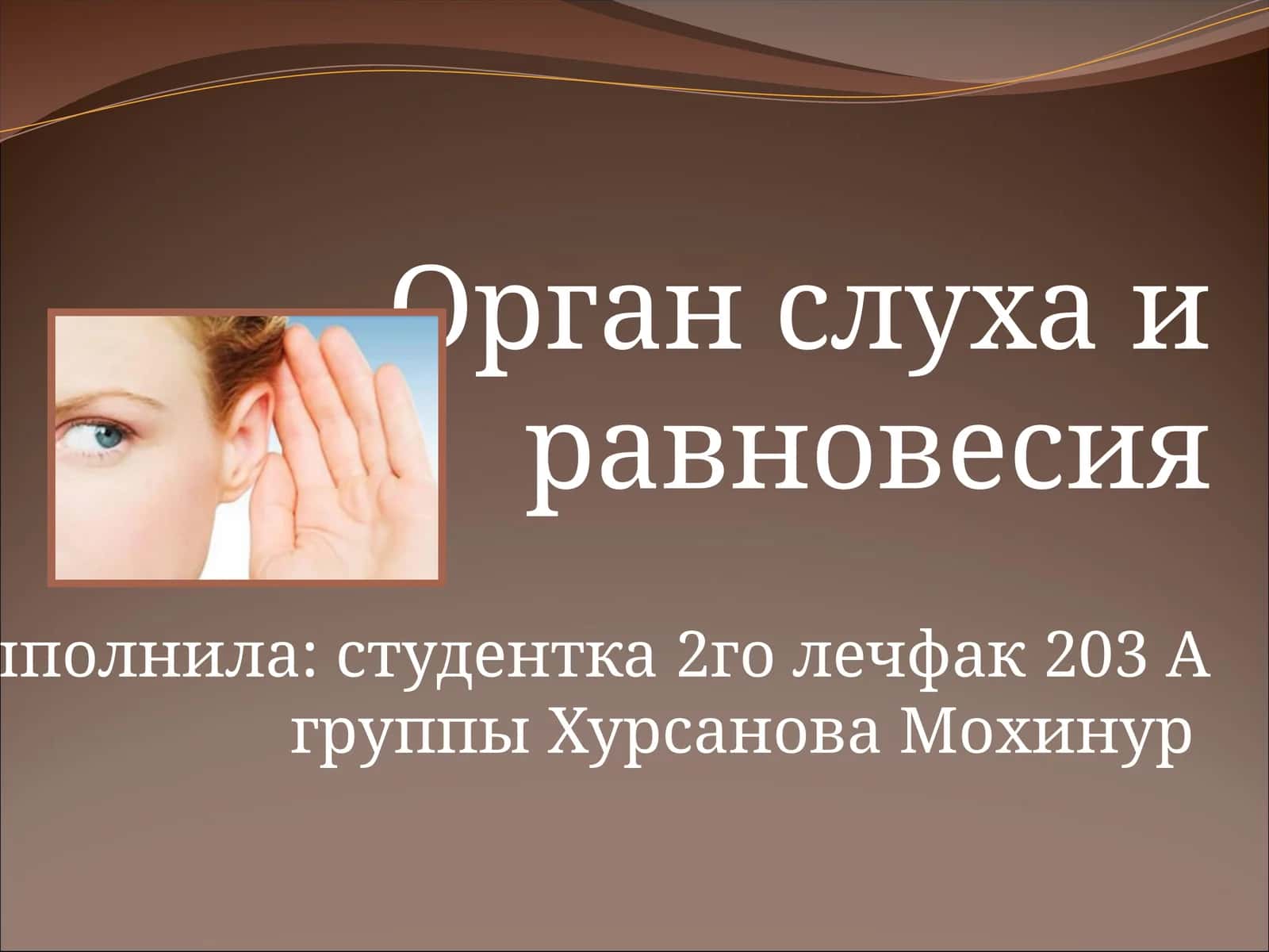 Орган слуха и равновесия