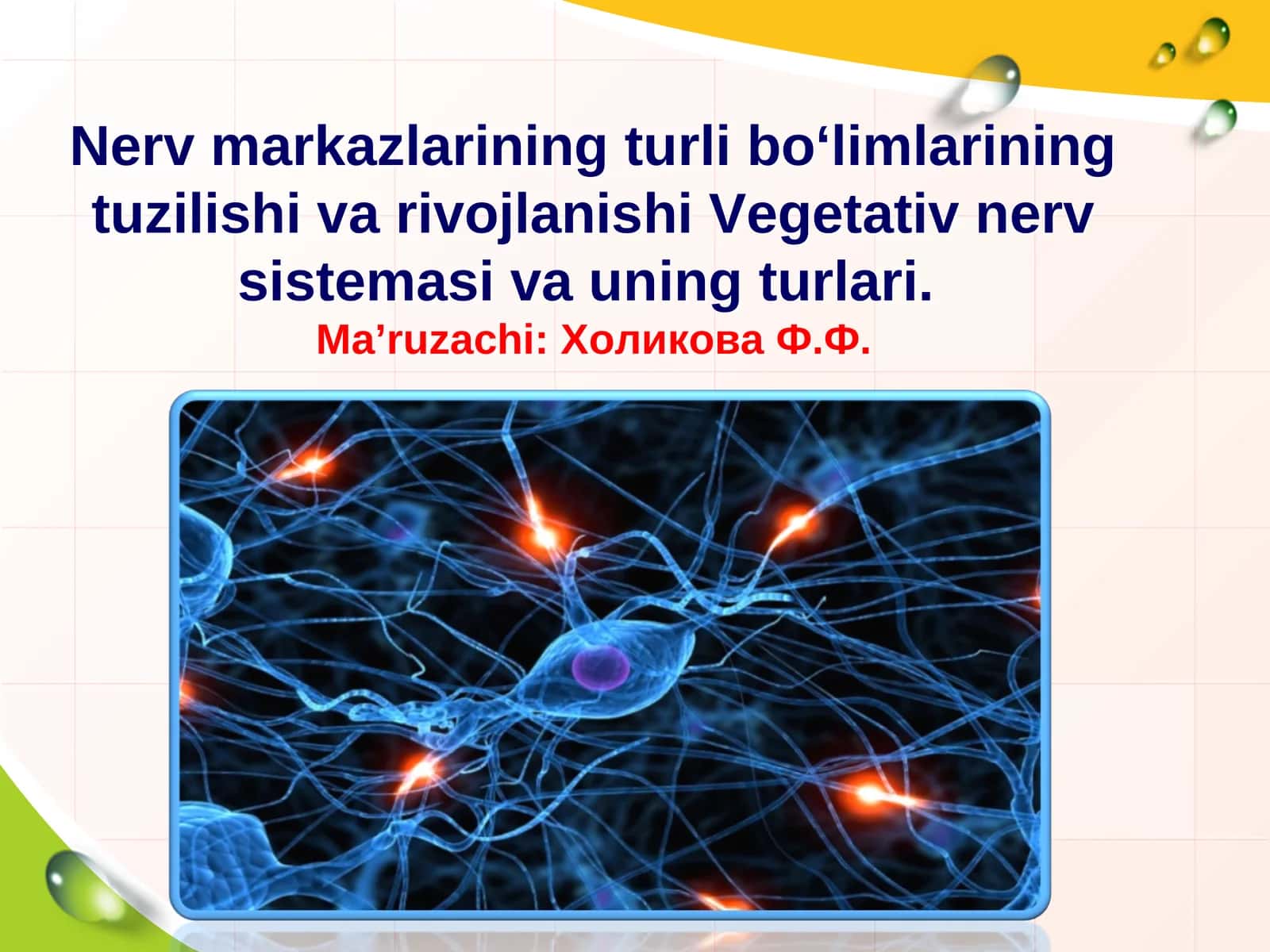 Nerv markazlarining turli bo‘limlarining tuzilishi va rivojlanishi Vegetativ nerv sistemasi va uning turlari