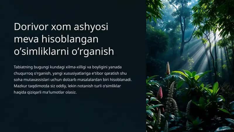 Oddiy archa