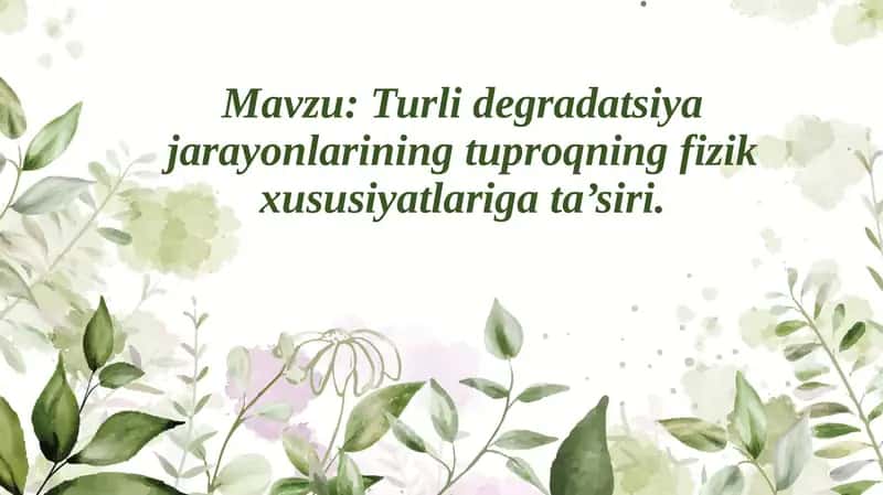 Suz kiyimi