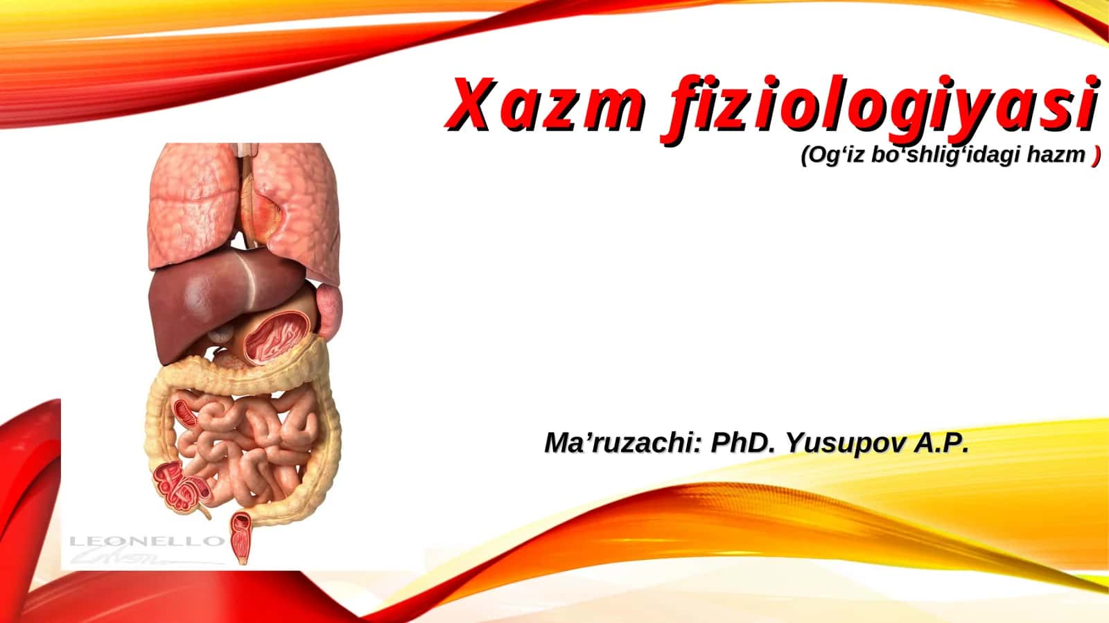 Xazm fiziologiyasi(Og‘iz bo‘shlig‘idagi hazm)
