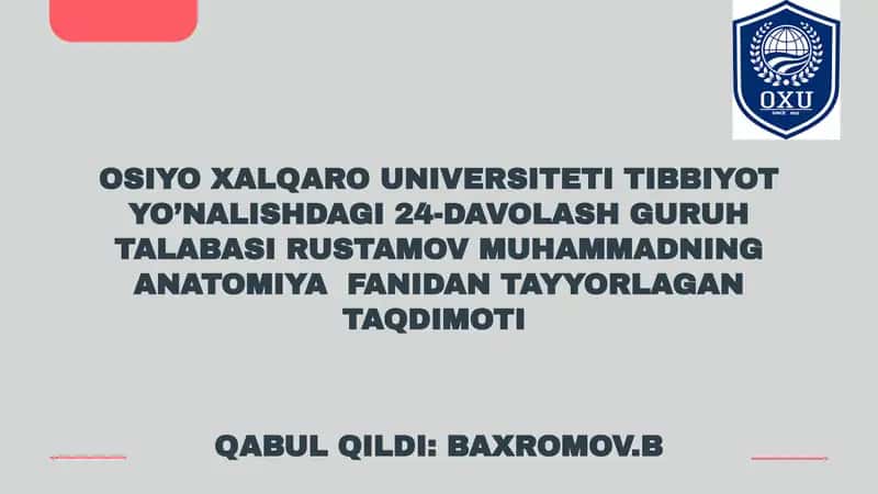 bosh miya pardalarining vena bo'shliqlari va sisternalari.Likvor suyuqligi