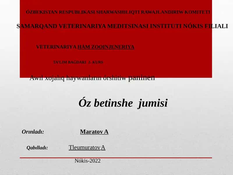 Nókis Filiali - Ta'lim Baǵdari