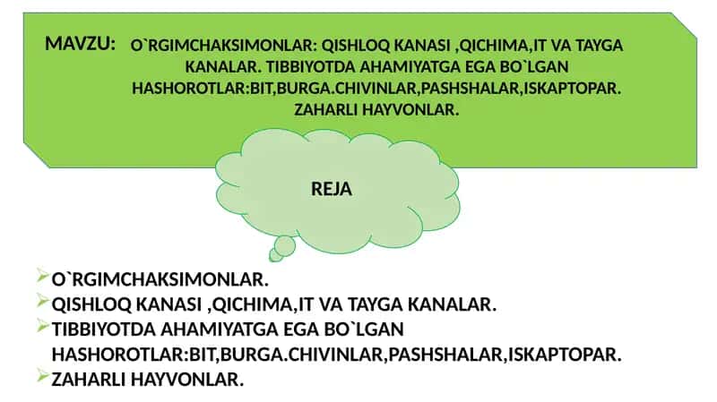 O`RGIMCHAKSIMONLAR: QISHLOQ KANASI ,QICHIMA,IT VA TAYGA KANALAR. TIBBIYOTDA AHAMIYATGA EGA BO`LGAN HASHOROTLAR:BIT,BURGA.CHIVINLAR,PASHSHALAR,ISKAPTOPAR.ZAHARLI HAYVONLAR.